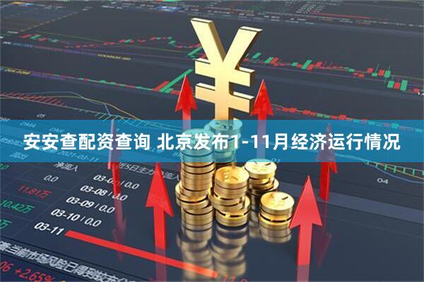 安安查配资查询 北京发布1-11月经济运行情况